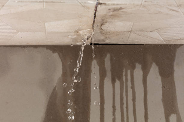 Professional Structural Drying technician working in Venedocia, OH